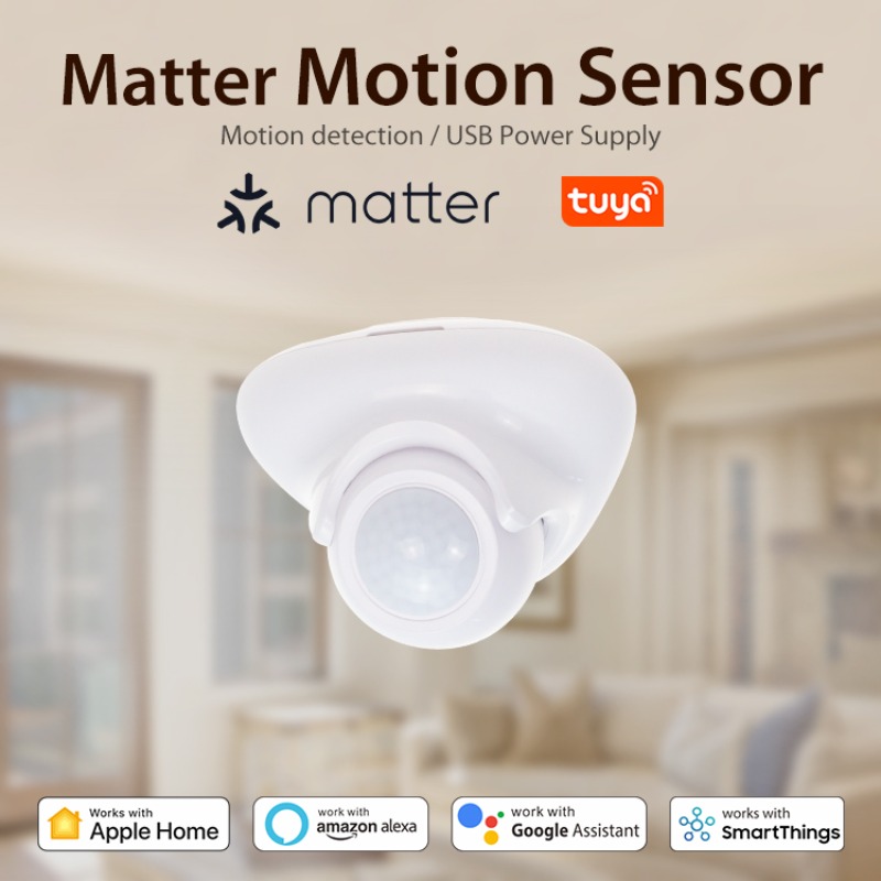 Sensor Gerak Kehadiran Manusia - Matter Hub Thread ulasan dan harga